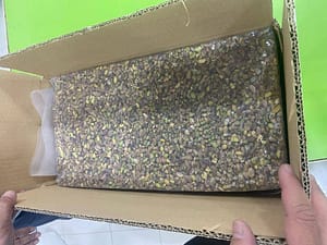 بسته بندی پسته بسته بندی پسته